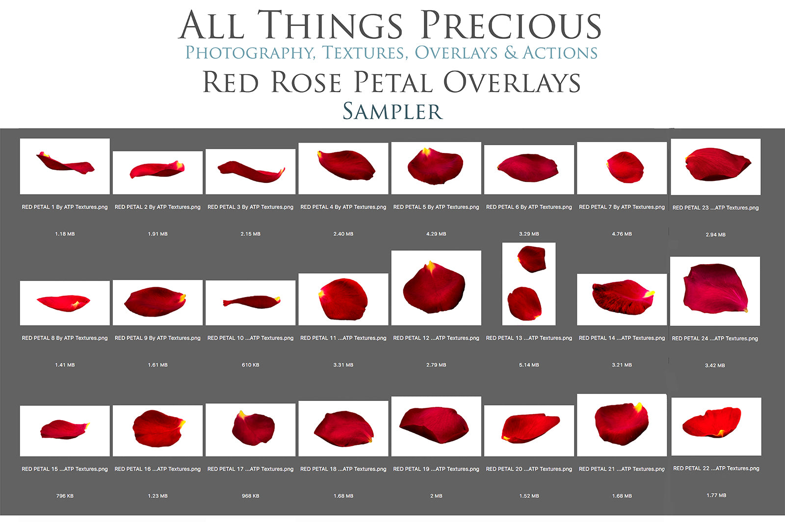 Sweet floaty Red Rose Petals! Png clipart confetti, Overlays for photographers, Photoshop Overlay, digital edits, photoshop. Photography Editing graphic assets. Red, gold, falling valentine love. Wedding, Couples Photo. High resolution, ATP textures.